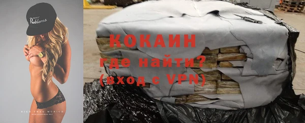 прущие грибы Краснотурьинск