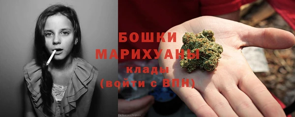 прущие грибы Краснотурьинск