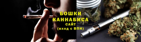 прущие грибы Краснотурьинск