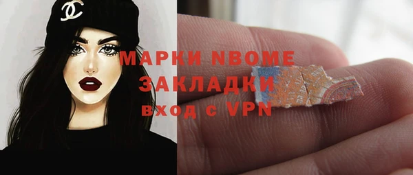 прущие грибы Краснотурьинск