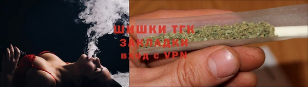 прущие грибы Краснотурьинск