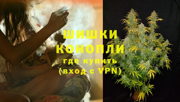 прущие грибы Краснотурьинск