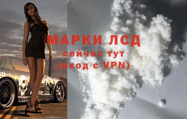 прущие грибы Краснотурьинск