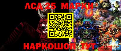 гидропоника Донецк