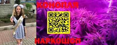 Альфа ПВП Донской