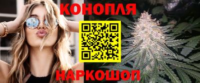 Альфа ПВП Донской