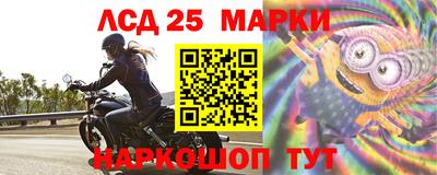 Альфа ПВП Донской